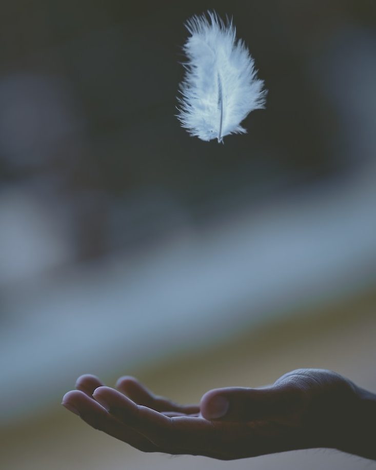 shallow focus photography of white feather dropping in person's hand